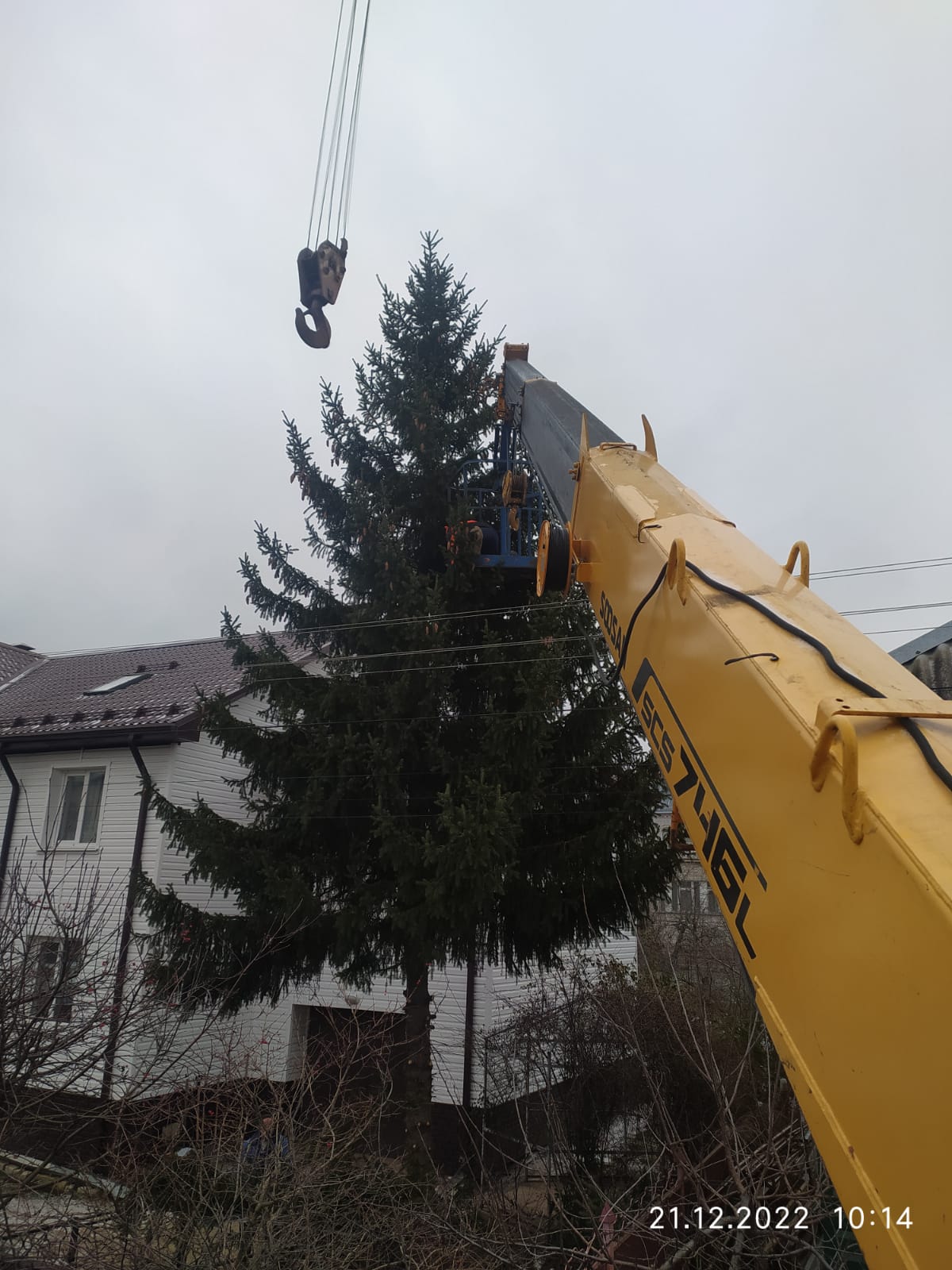 IMG-20221223-WA0008
